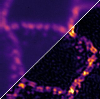 Widefield image (top left) and its Deepblur + AlgoRIM reconstruction (bottom right)